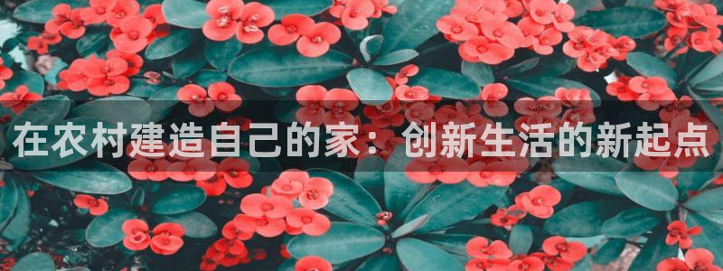 富联娱乐乃67五壹叁八：在农村建造自己的家：创新生活的新起点