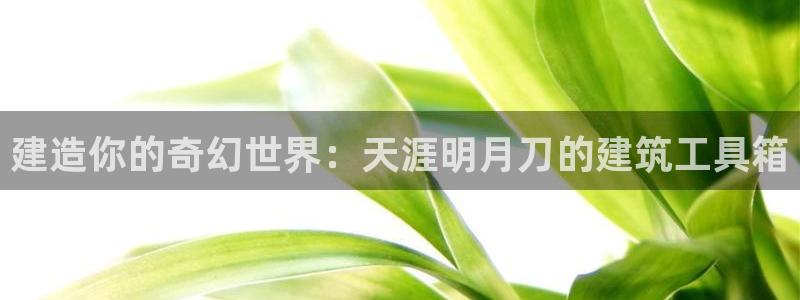 富联娱乐总代理电话：建造你的奇幻世界：天涯明月刀的建筑工具箱