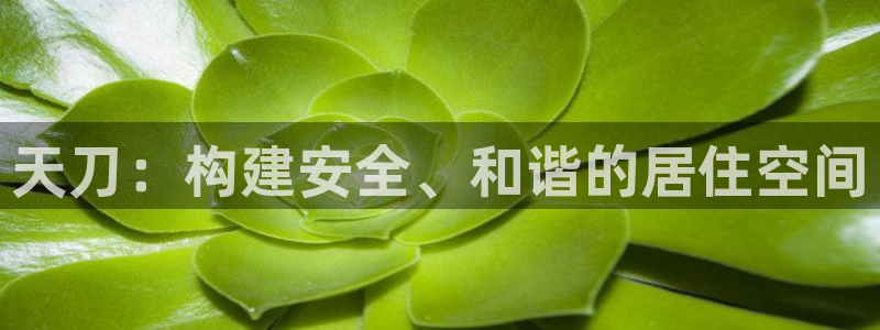 富联娱乐分红怎么样：天刀：构建安全、和谐的居住空间