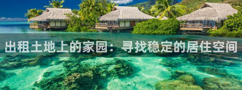 富联娱乐市究7276O：出租土地上的家园：寻找稳定的居住空间