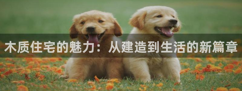 富联娱乐凡六七五一38：木质住宅的魅力：从建造到生活的新篇章