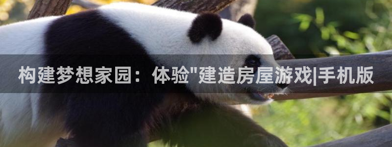 富联娱乐官网入口app：构建梦想家园：体验\