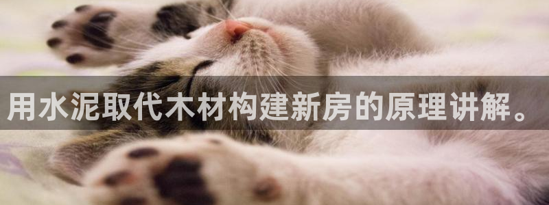 富联娱乐招商天神779O3