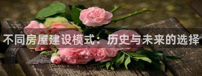 富联娱乐来956k.com靠谱：不同房屋建设模式：历史与未来的选择