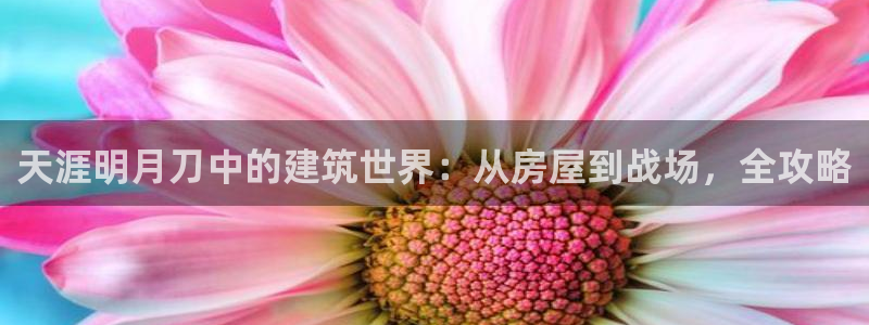 富联娱乐首页网站下载：天涯明月刀中的建筑世界：从房屋到战场，全攻略