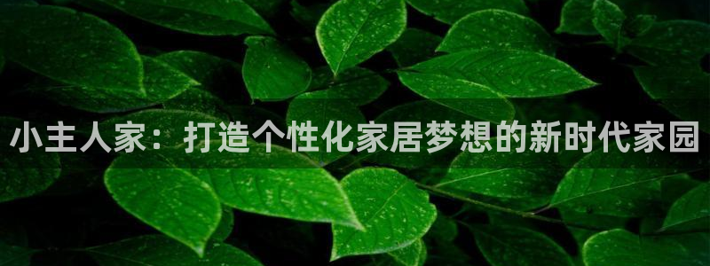 富联娱乐里拔7276O：小主人家：打造个性化家居梦想的新时代家园