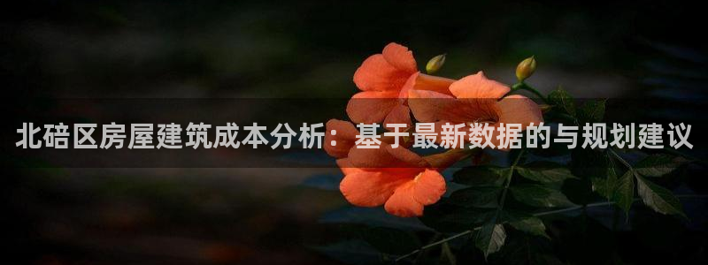 富联娱乐登录地址：北碚区房屋建筑成本分析：基于最新数据的与规划建议