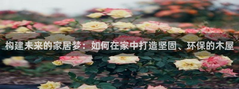 富联2娱乐首页网址大全