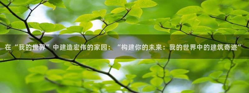 富联娱乐总裁简介图片：在“我的世界”中建造宏伟的家园：“构建你的未来：我的世界中的建筑奇迹”