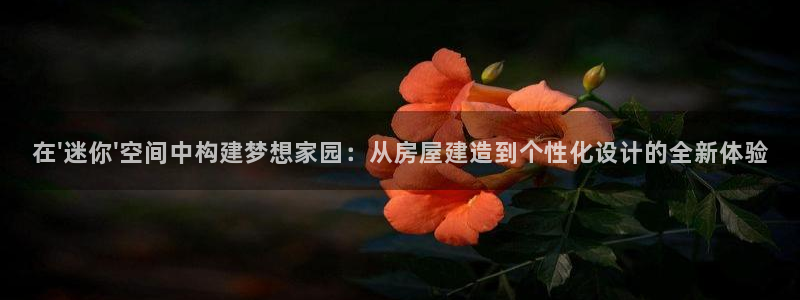 富联娱乐公司简介资料：在\'迷你\'空间中构建梦想家园：从房屋建造到个性化设计的全新体验