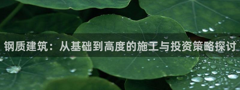 富联娱乐注册目判官333OO：钢质建筑：从基础到高度的施工与投资策略探讨