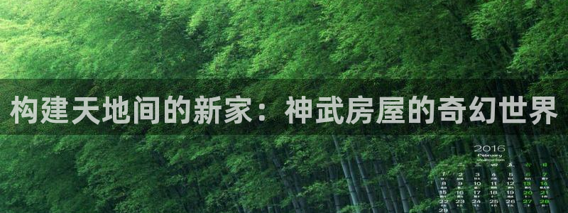 富联娱乐最厉害三个网站：构建天地间的新家：神武房屋的奇幻世界