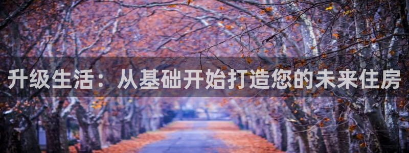 富联娱乐注册社判官333OO：升级生活：从基础开始打造您的未来住房