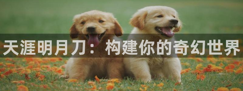 富联娱乐平台登录网址查询：天涯明月刀：构建你的奇幻世界