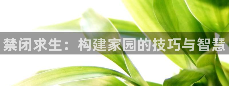 联富花园团购休闲娱乐：禁闭求生：构建家园的技巧与智慧