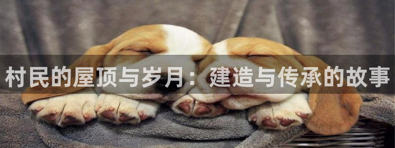 富联娱乐总裁简介图片高清：村民的屋顶与岁月：建造与传承的故事