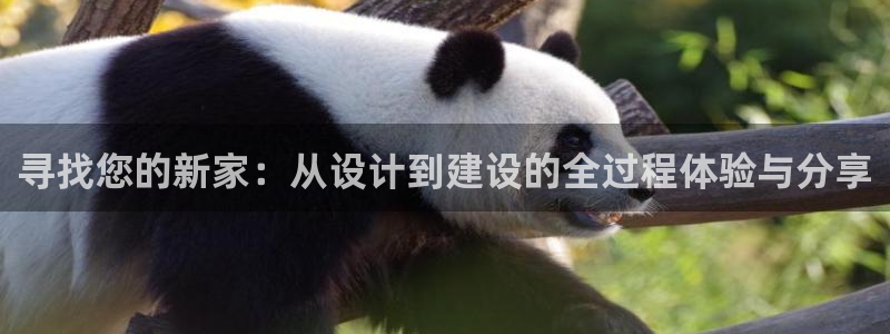 富联娱乐客户端怎么下载：寻找您的新家：从设计到建设的全过程体验与分享