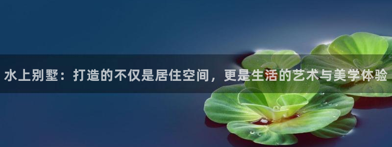 富联2娱乐首页网址大全：水上别墅：打造的不仅是居住空间，更是生活的艺术与美学体验