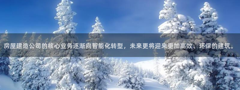 富联娱乐注册发判官333OO：房屋建造公司的核心业务逐渐向智能化转型，未来更将迎来更加高效、环保的建筑。