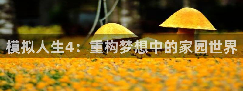 富联娱乐发展历程简述：模拟人生4：重构梦想中的家园世界