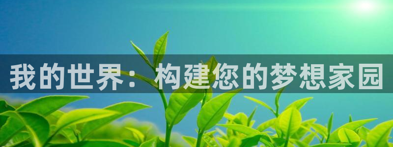 富联娱乐滴qv382223：我的世界：构建您的梦想家园
