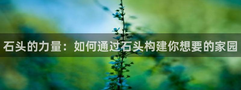 富联娱乐在线观看：石头的力量：如何通过石头构建你想要的家园