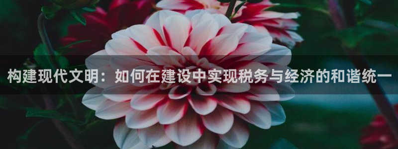 富联娱乐代理怎么样做的：构建现代文明：如何在建设中实现税务与经济的和谐统一
