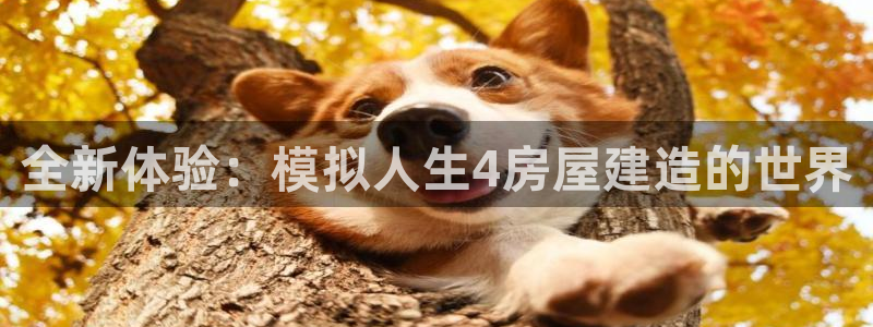 富联娱乐客户端下载官网：全新体验：模拟人生4房屋建造的世界