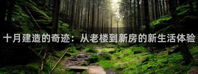 富联娱乐在线注册链接怎么弄的：十月建造的奇迹：从老楼到新房的新生活体验