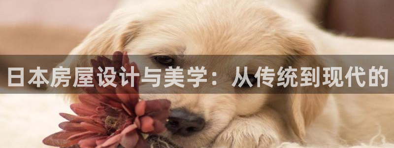 富联娱乐女团排名：日本房屋设计与美学：从传统到现代的