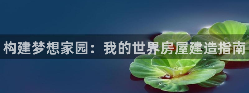 富联娱乐代理是谁开的