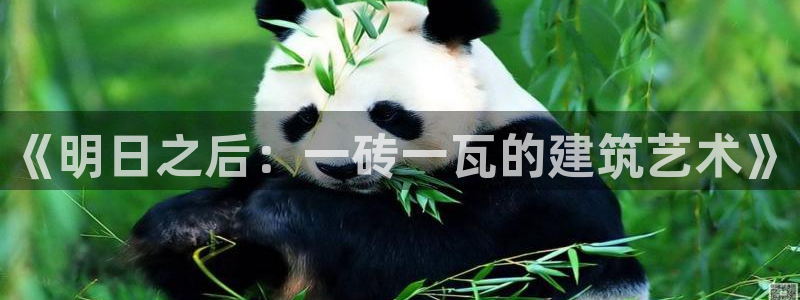 富联娱乐招商右原判官333OO：《明日之后：一砖一瓦的建筑艺术》