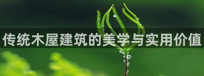富联2娱乐招商测判官333OO：传统木屋建筑的美学与实用价值