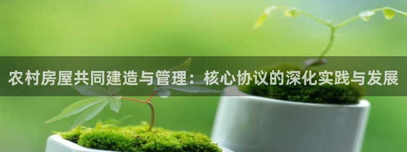 富联娱乐地址查询官网：农村房屋共同建造与管理：核心协议的深化实践与发展