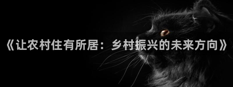 富联娱乐分红：《让农村住有所居：乡村振兴的未来方向》