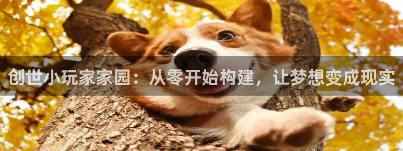 富联娱乐官方网站下载安装：创世小玩家家园：从零开始构建，让梦想变成现实