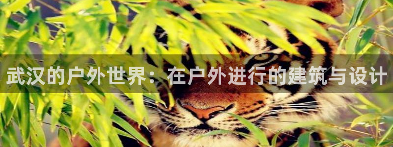 富联娱乐平台登录地址在哪里看：武汉的户外世界：在户外进行的建筑与设计