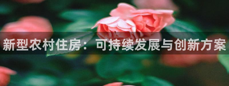 富联娱乐平台注册：新型农村住房：可持续发展与创新方案