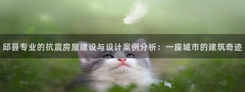 富联娱乐女团是谁的粉丝：邱县专业的抗震房屋建设与设计案例分析：一座城市的建筑奇迹