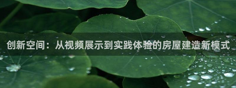 富联2娱乐元哥是谁：创新空间：从视频展示到实践体验的房屋建造新模式