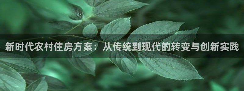 富联娱乐代理是谁：新时代农村住房方案：从传统到现代的转变与创新实践