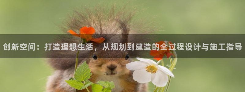 富联娱乐首页登录不了了：创新空间：打造理想生活，从规划到建造的全过程设计与施工指导