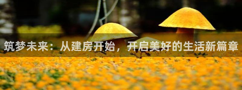 富联娱乐下载免费版安装：筑梦未来：从建房开始，开启美好的生活新篇章
