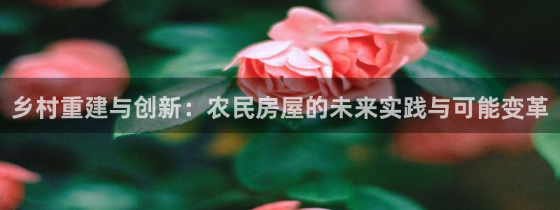 富联2娱乐资讯官网首页：乡村重建与创新：农民房屋的未来实践与可能变革