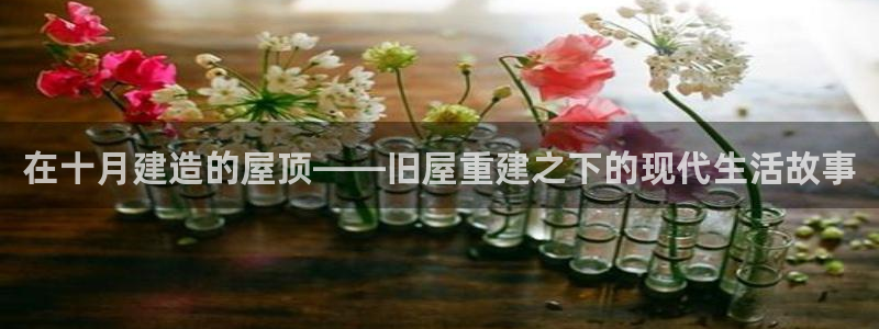 富联娱乐招商天333OO判官：在十月建造的屋顶——旧屋重建之下的现代生活故事