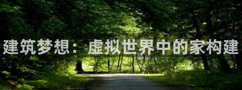 富联娱乐元哥：建筑梦想：虚拟世界中的家构建