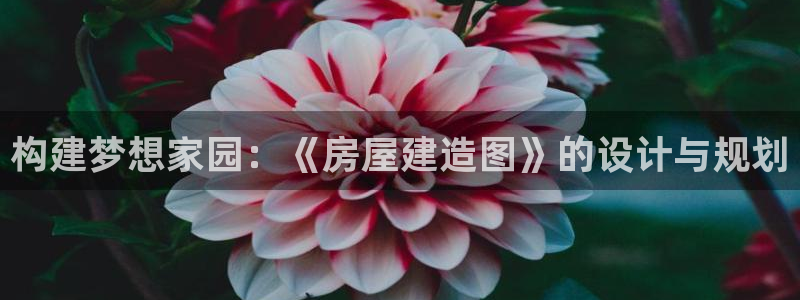 富联娱乐平台下载安装：构建梦想家园：《房屋建造图》的设计与规划