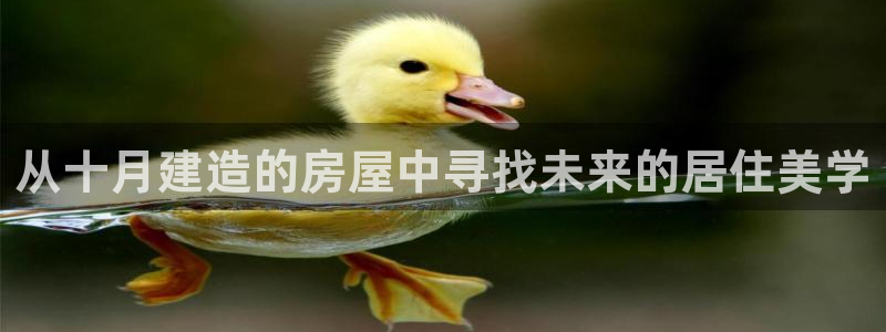 富联娱乐在线网站：从十月建造的房屋中寻找未来的居住美学