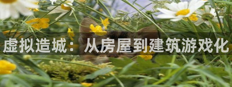 富联娱乐六七五一38：虚拟造城：从房屋到建筑游戏化