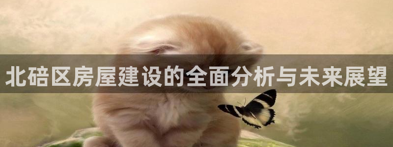 富联娱乐曼谷快三怎么样：北碚区房屋建设的全面分析与未来展望